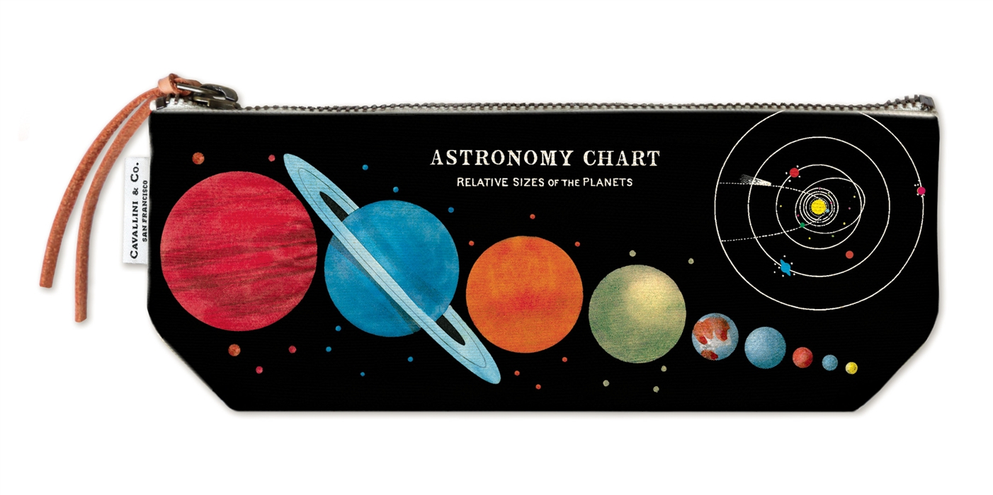 Astronomy Chart Mini Pouch