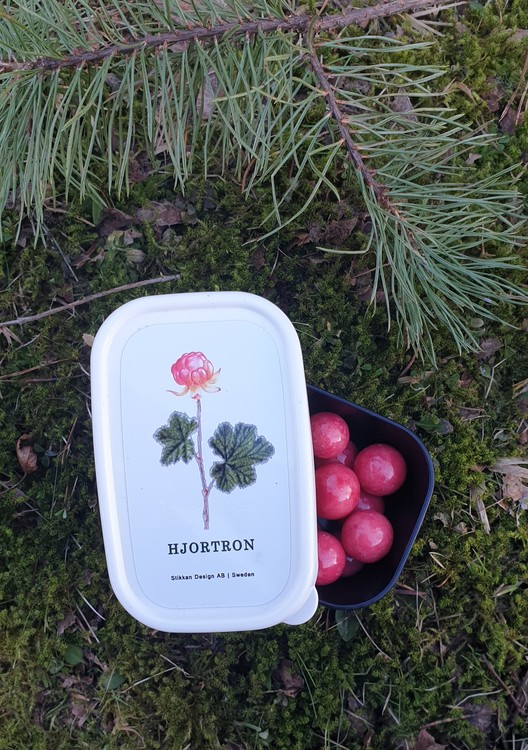 Minibox Hjortron
