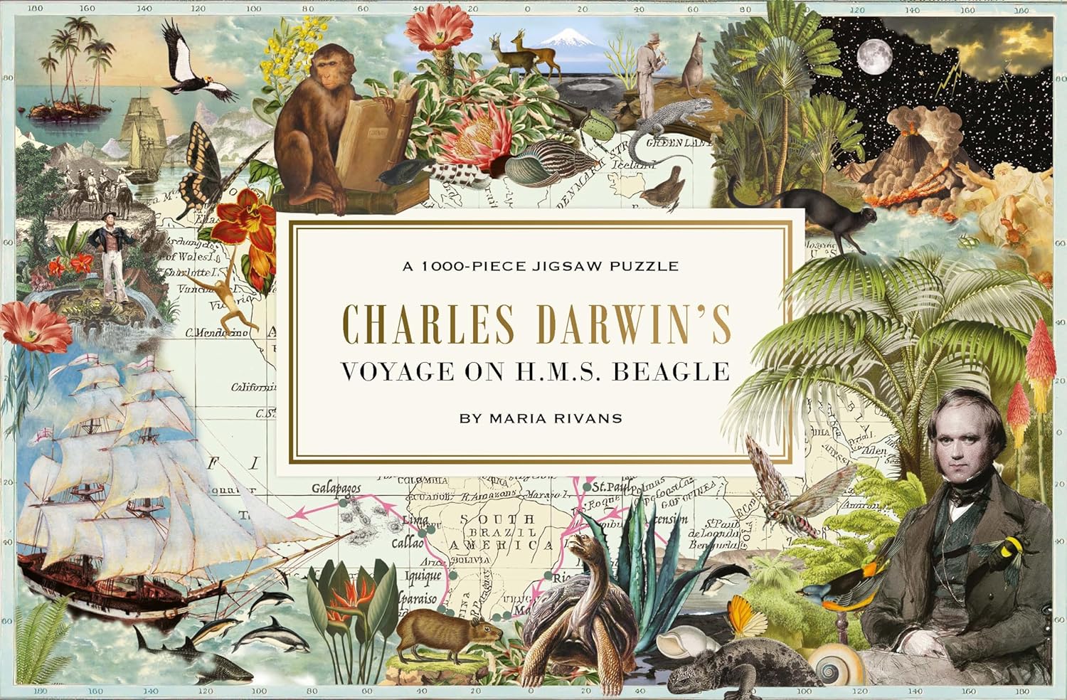 Charles Darwin The Voyage of the Beagle Puzzle 1000 bitar