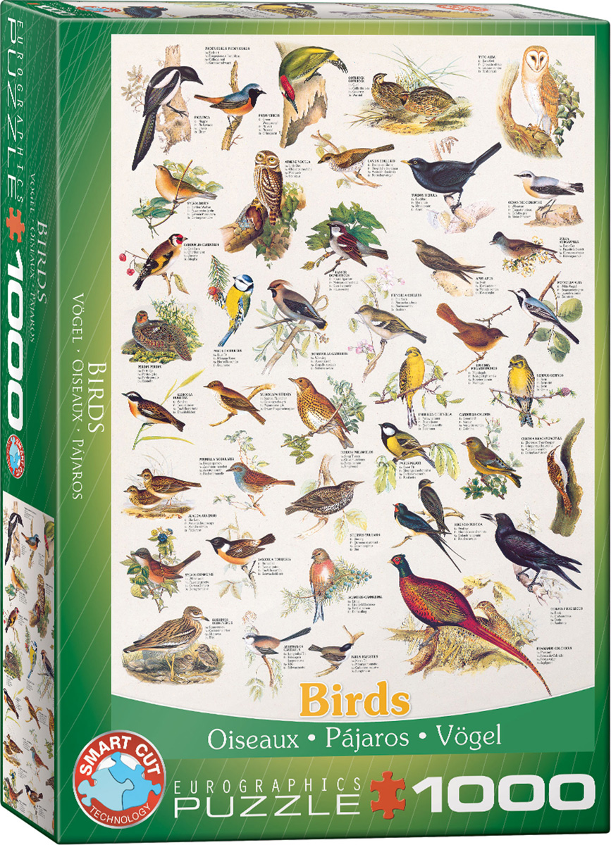 Birds Pussel 1000 bitar