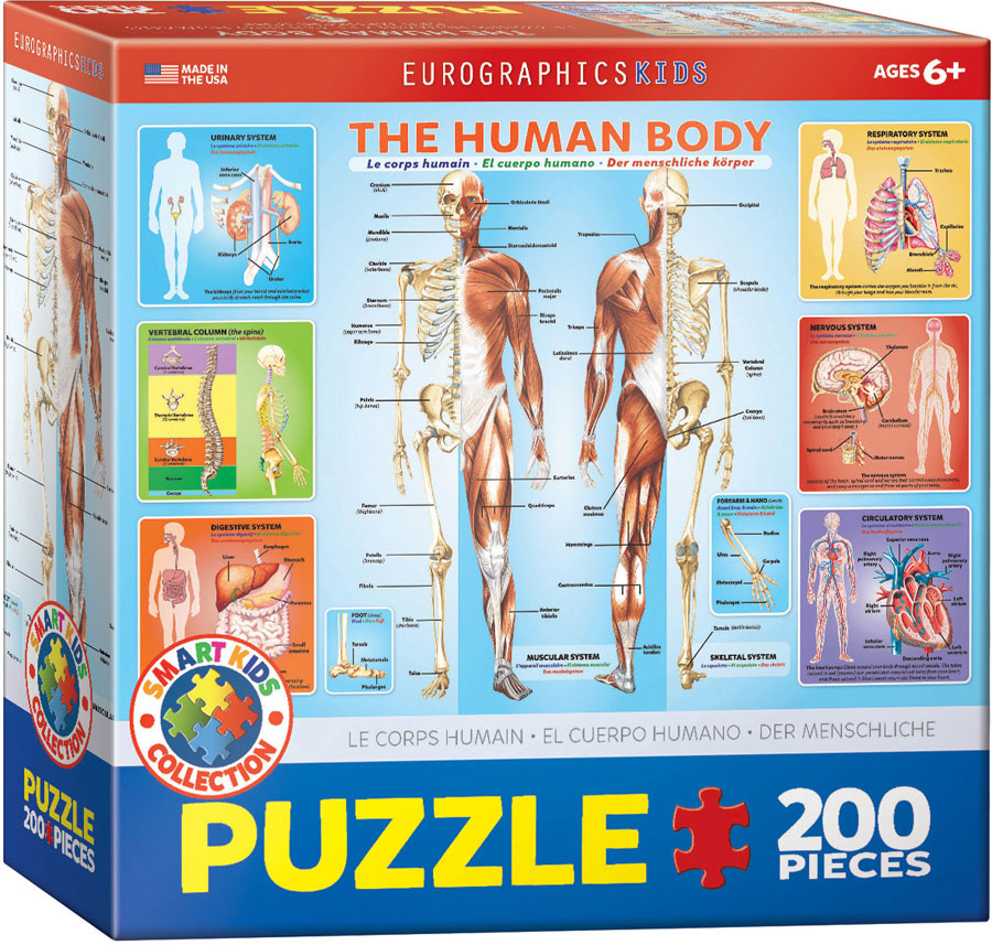 The Human Body Pussel 200 bitar