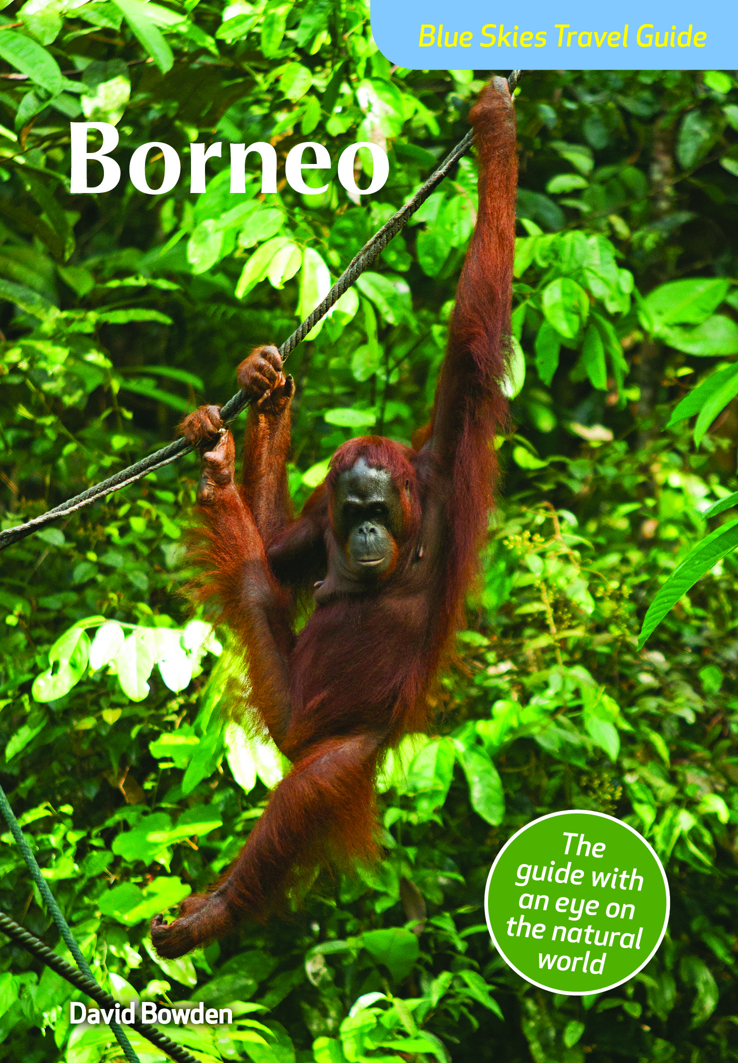 Borneo Blue Skies Travel Guide