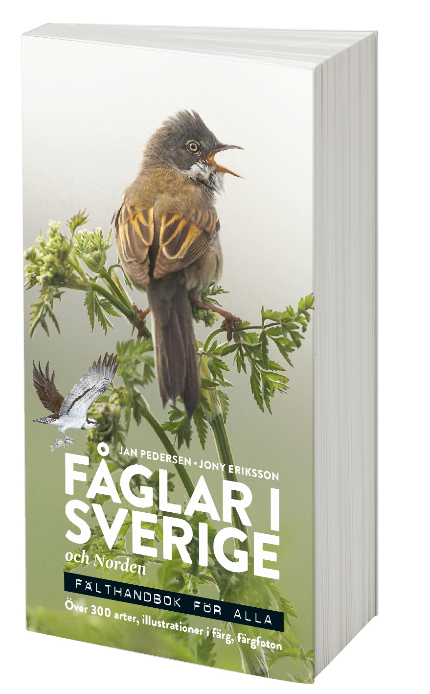 Fåglar i Sverige och Norden