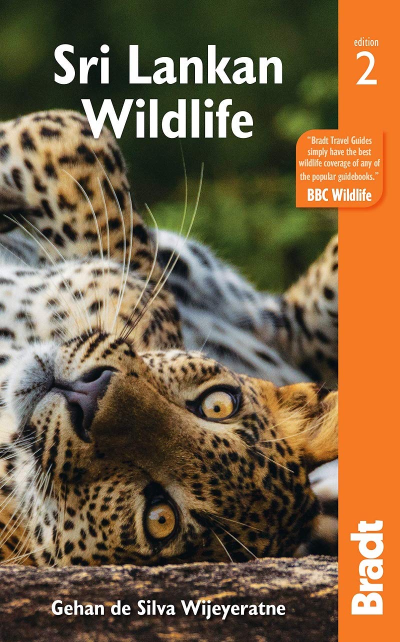 Sri Lankan Wildlife Bradt