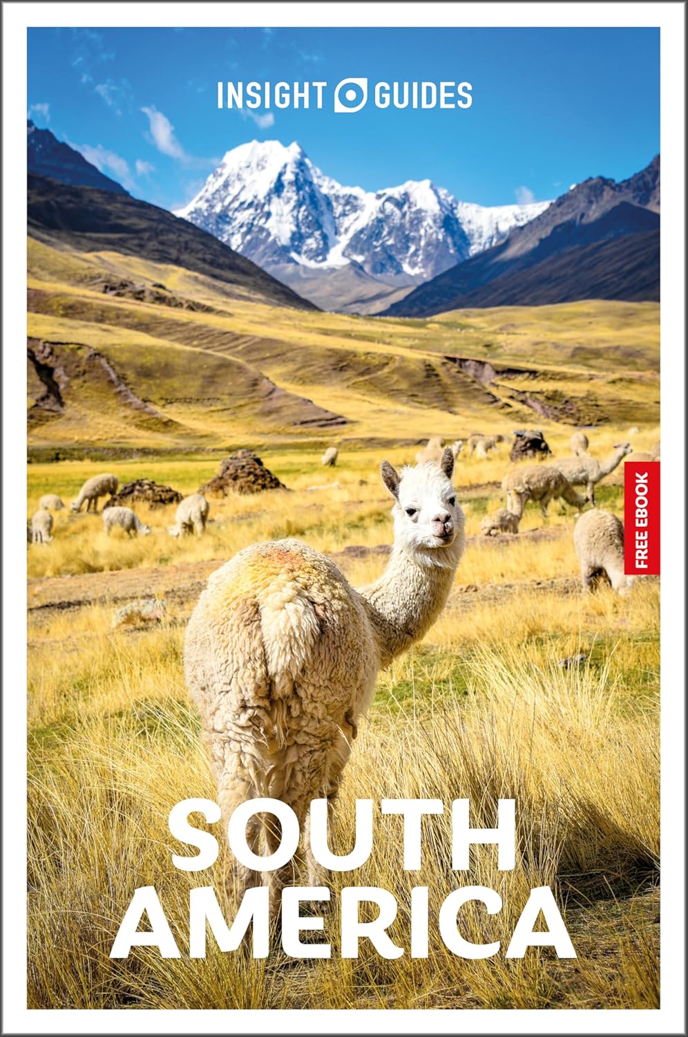 South America Insight Guides