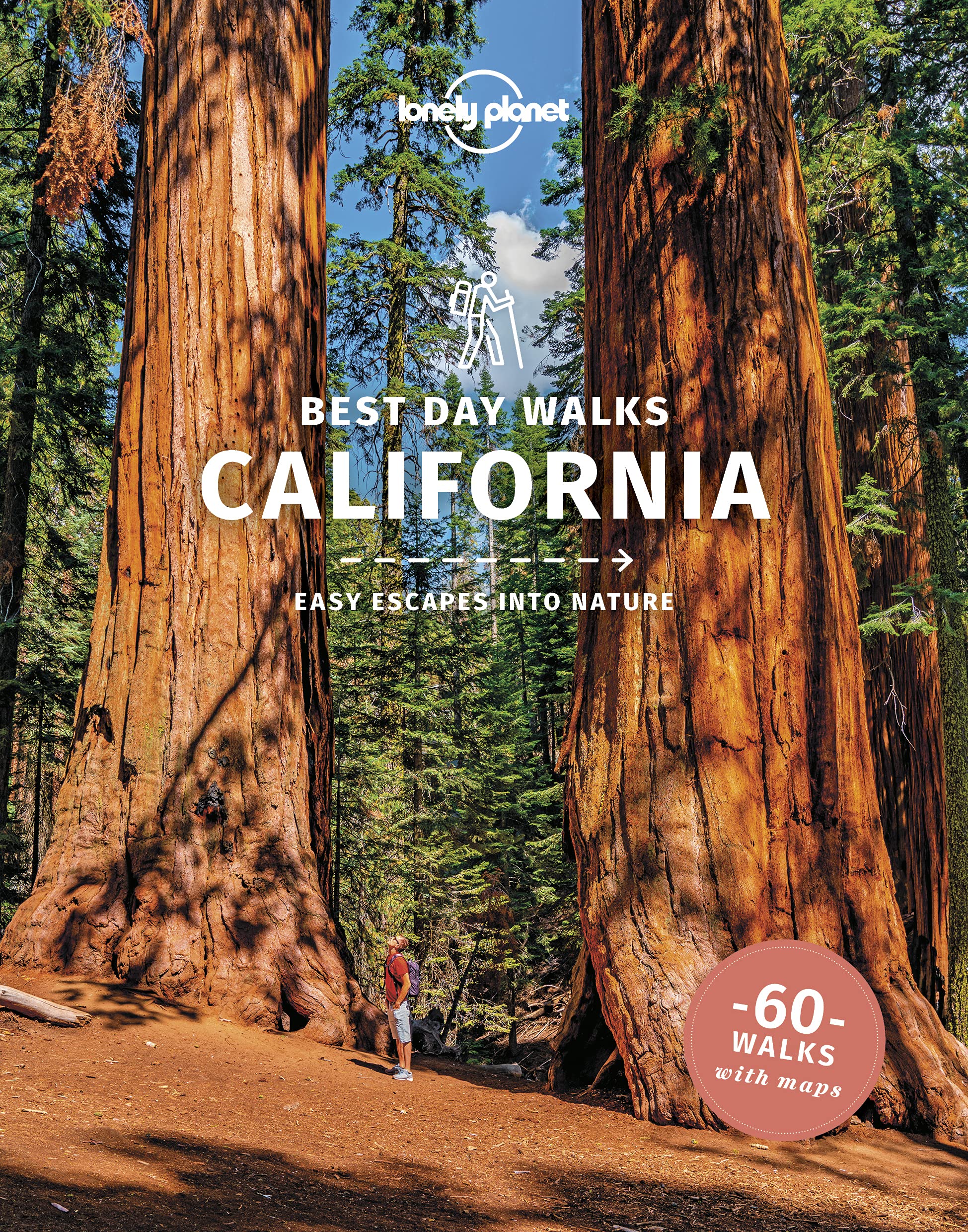 Best Day Walks California Lonely Planet