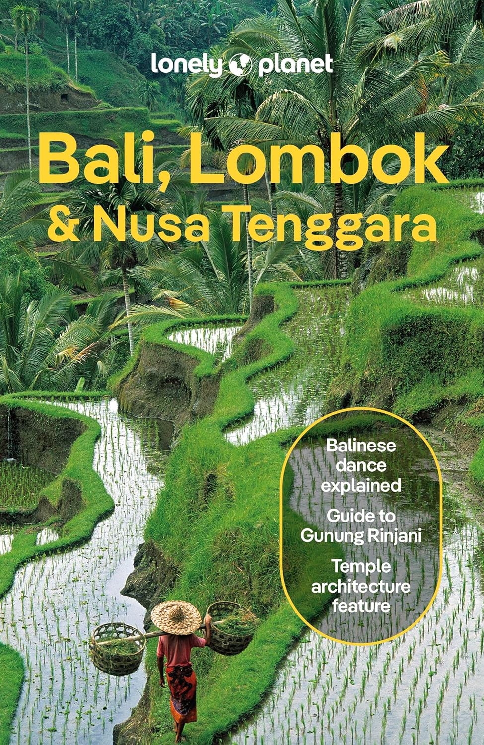 Bali, Lombok and Nusa Tenggara Lonely Planet