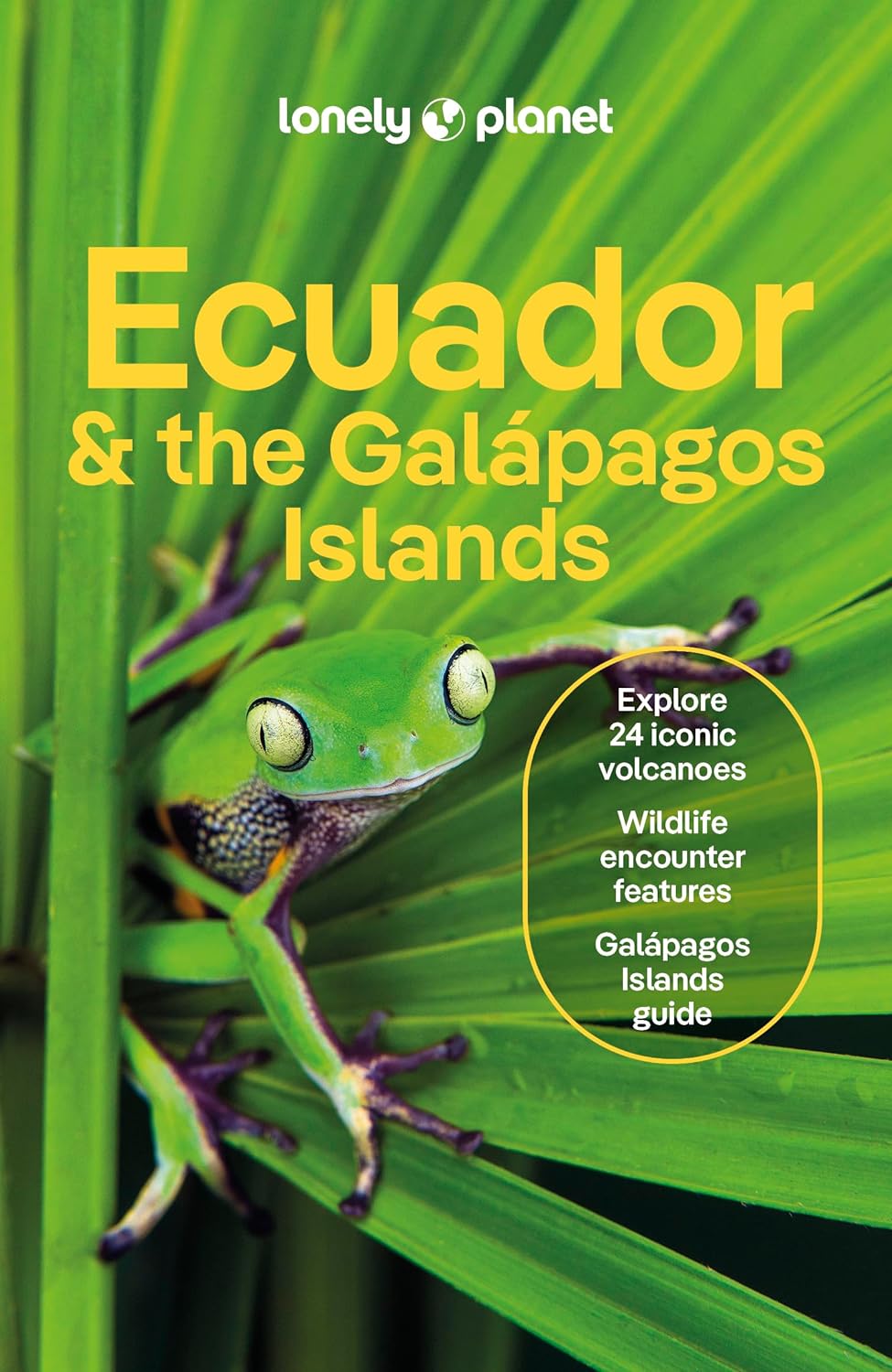 Ecuador and the Galapagos Islands Lonely Planet