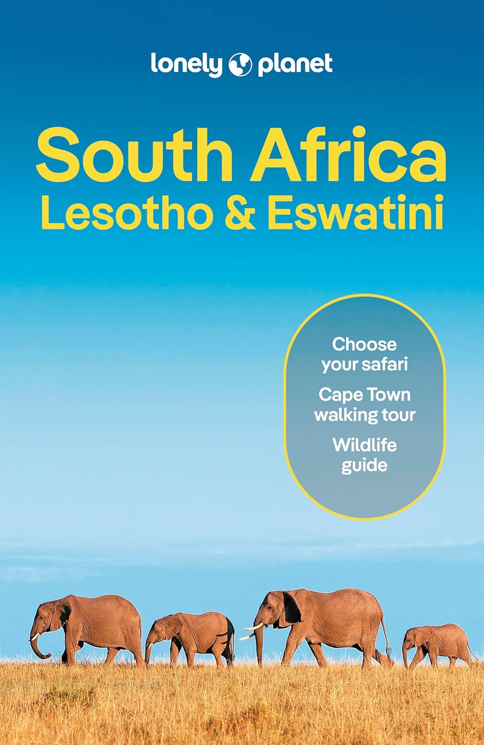 South Africa, Lesotho &amp; Eswatini Lonely Planet