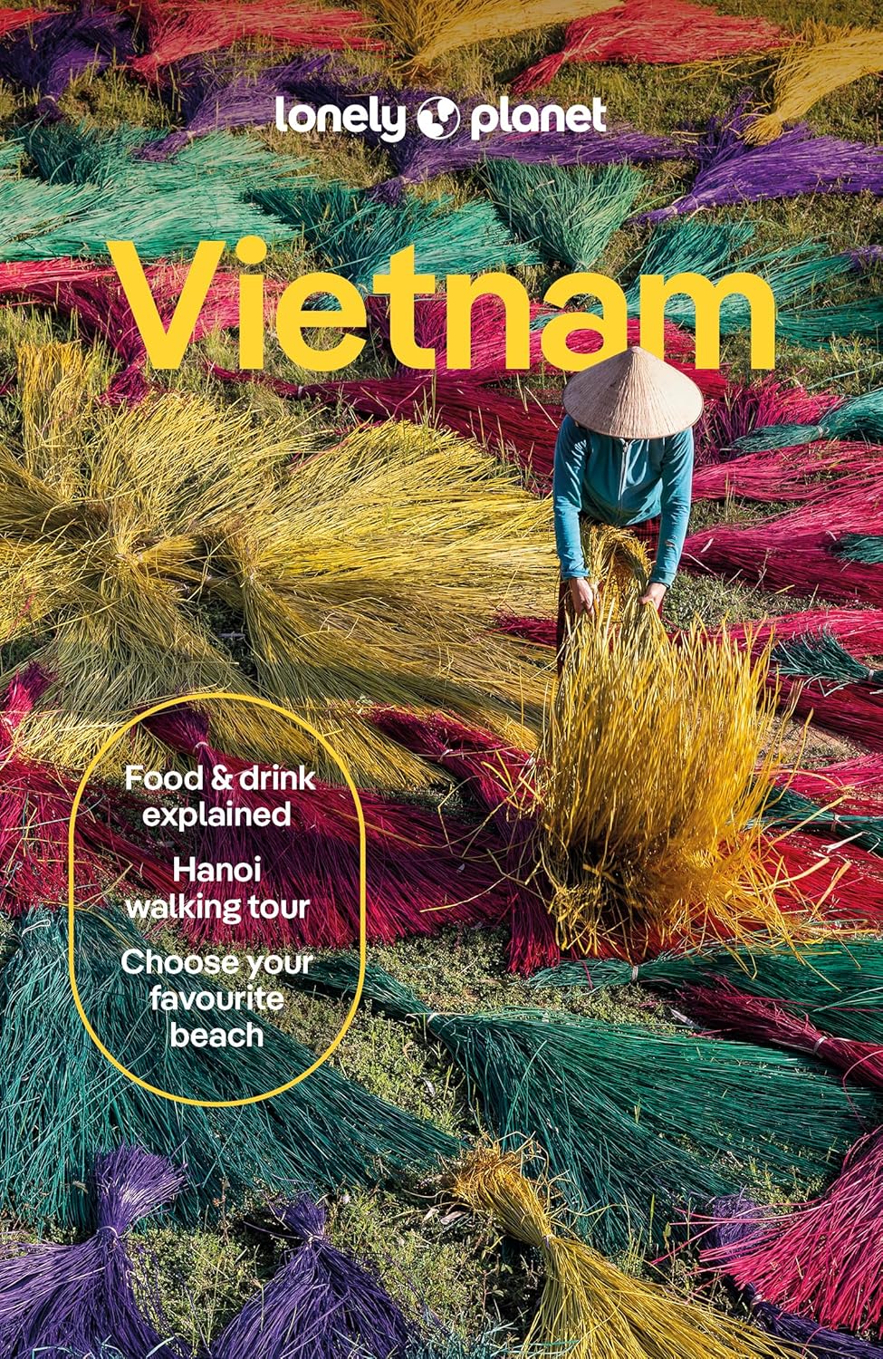 Vietnam Lonely Planet