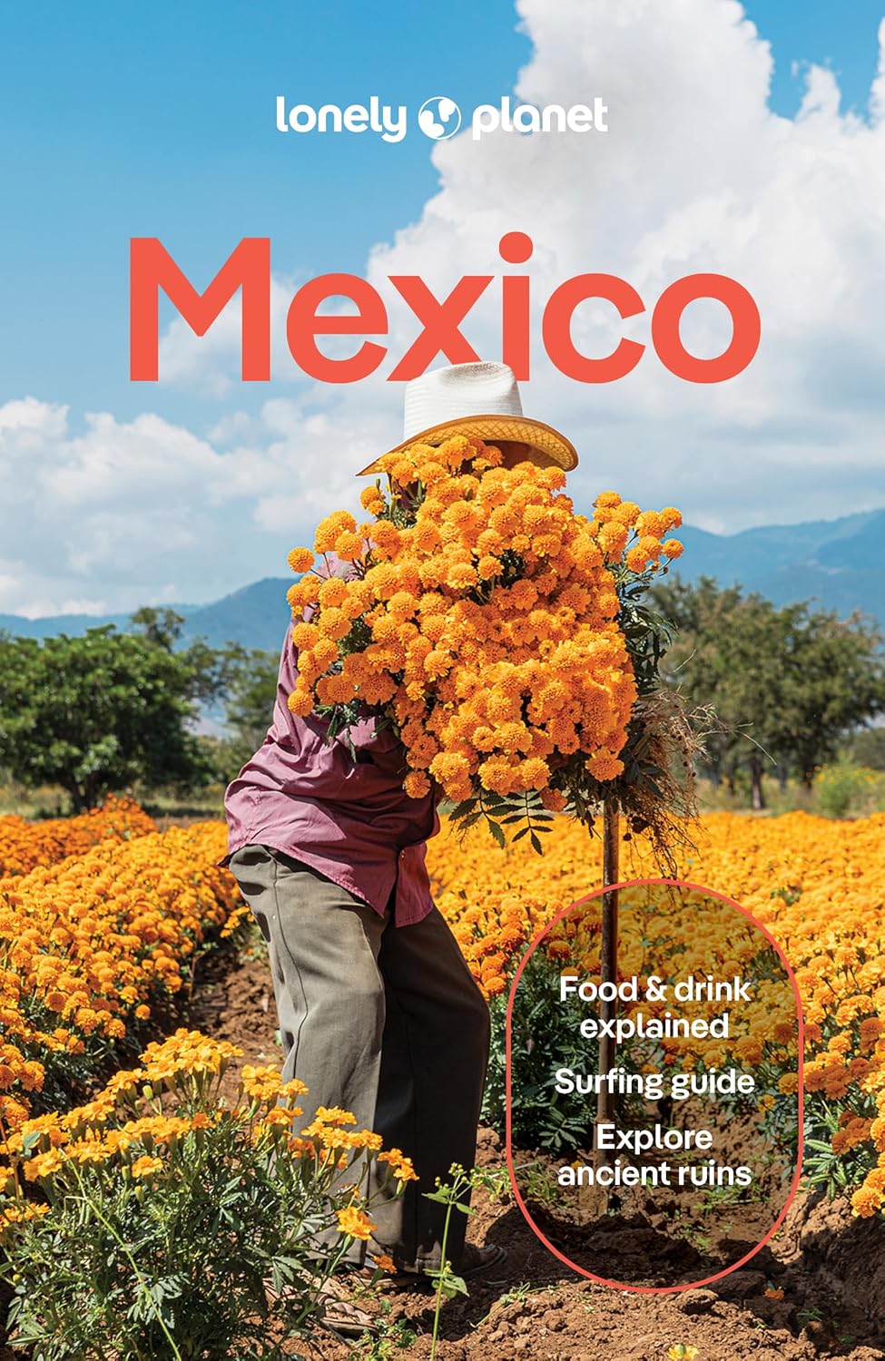 Mexico Lonely Planet