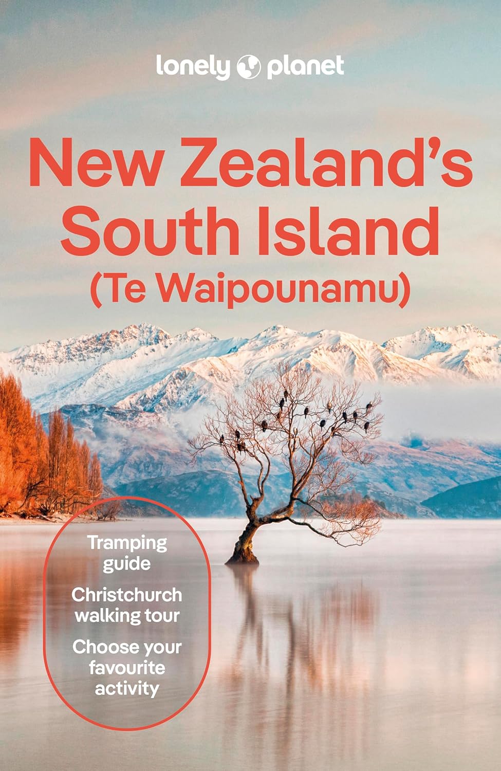 New Zealands South Island Lonely Planet