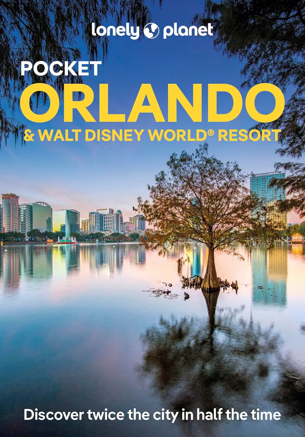 Pocket Orlando &amp; Walt Disney World® Lonely Planet
