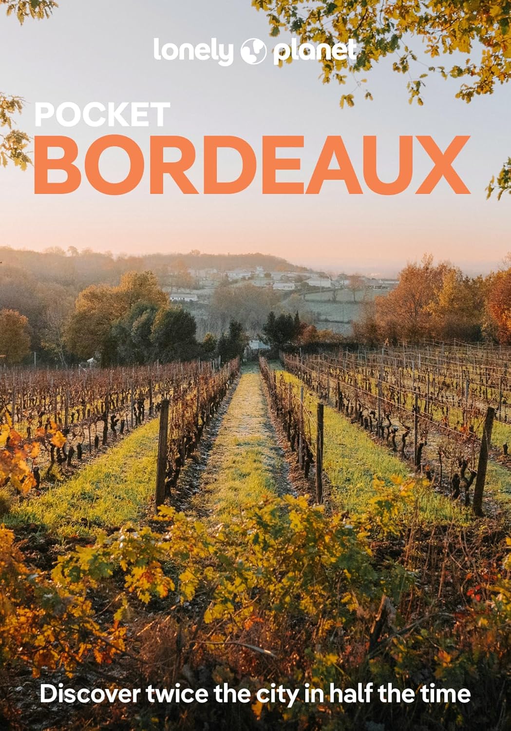 Pocket Bordeaux Lonely Planet
