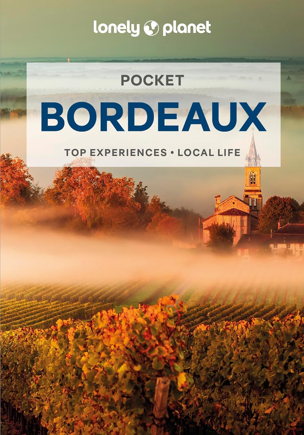 Pocket Bordeaux Lonely Planet