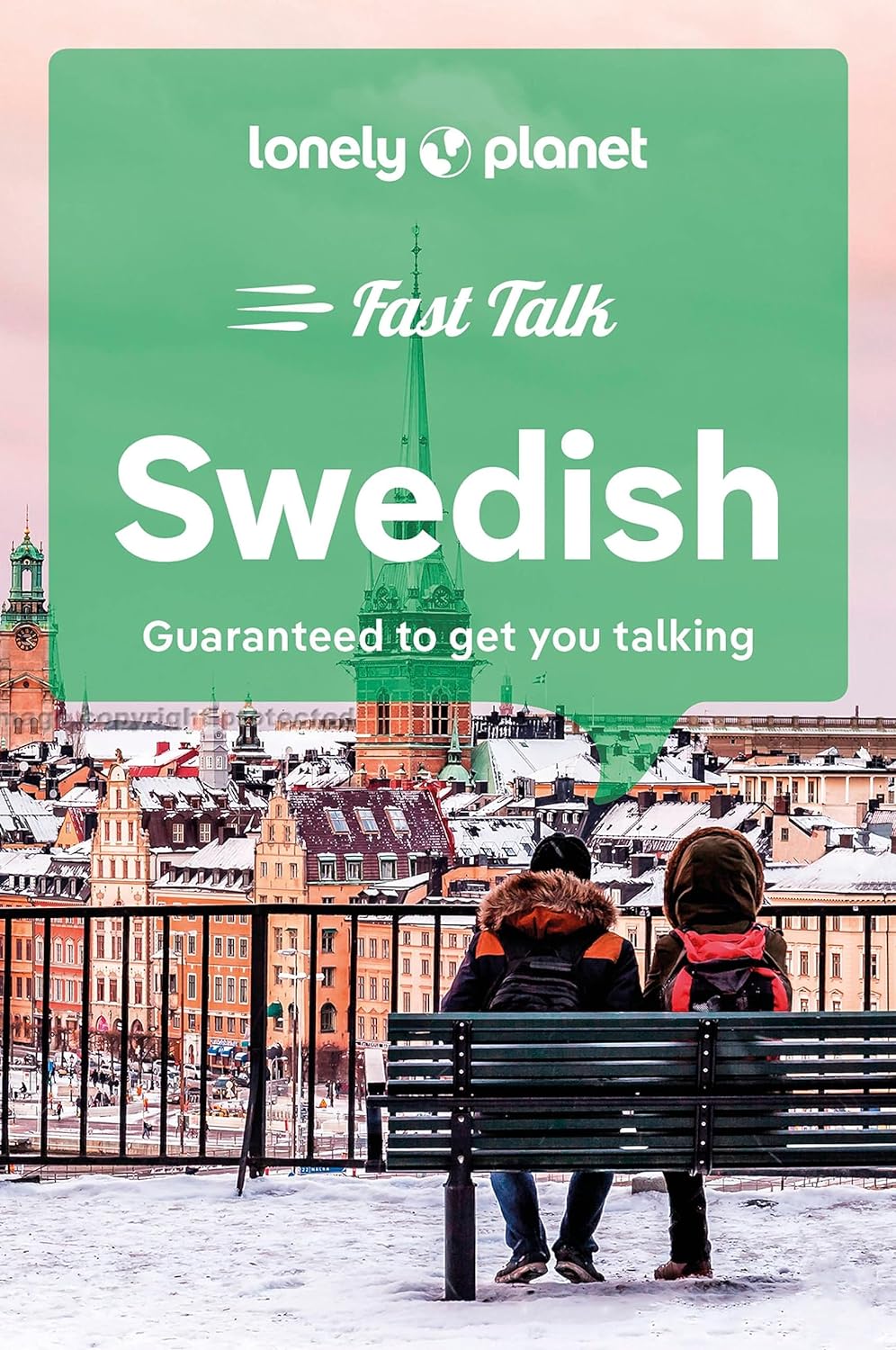 Swedish Fast Talk Lonely Planet