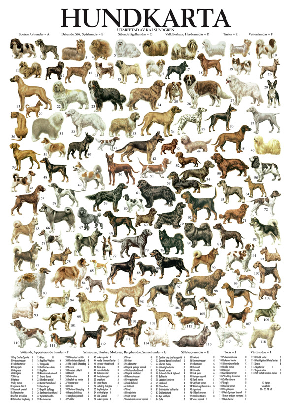 Vykort Hundar