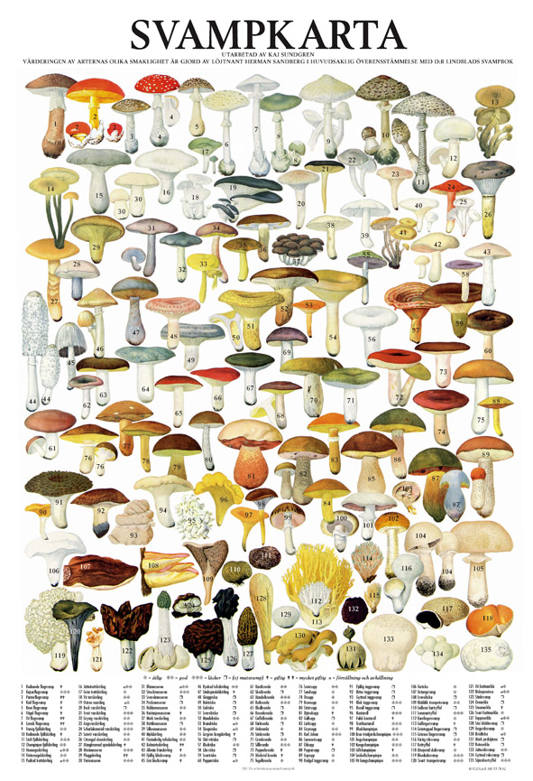 Vykort Svampar