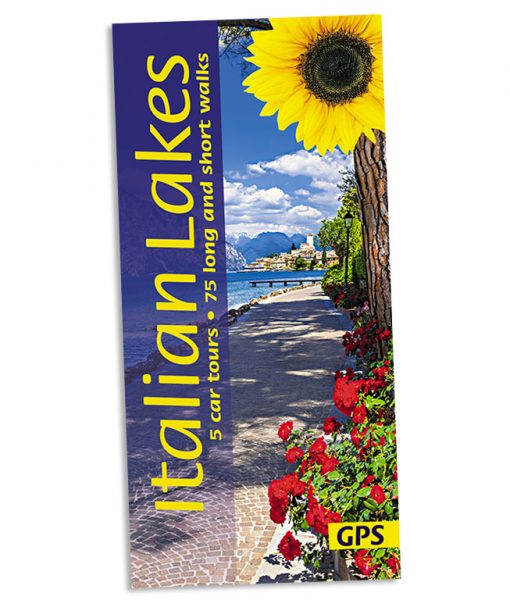 Italian Lakes Sunflower