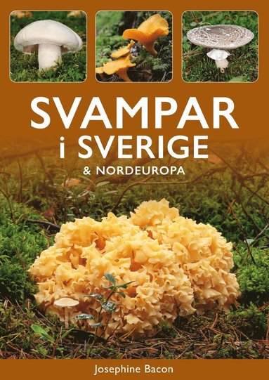 Svampar i Sverige &amp; Nordeuropa