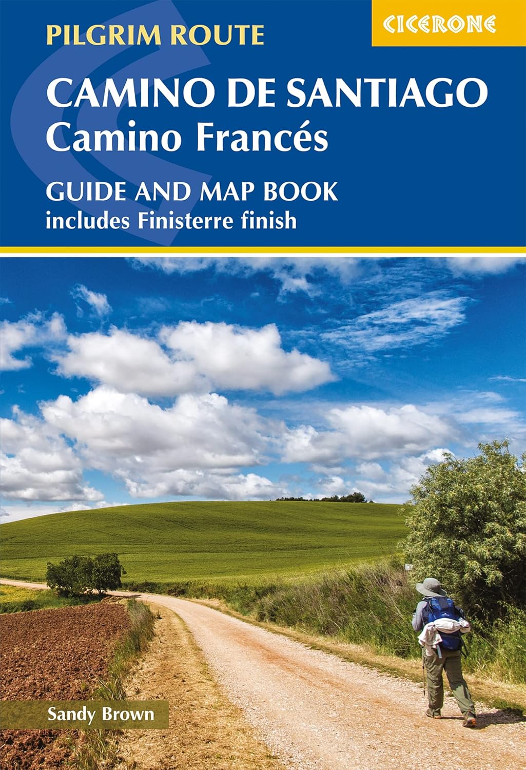 Camino de Santiago: Camino Frances Cicerone