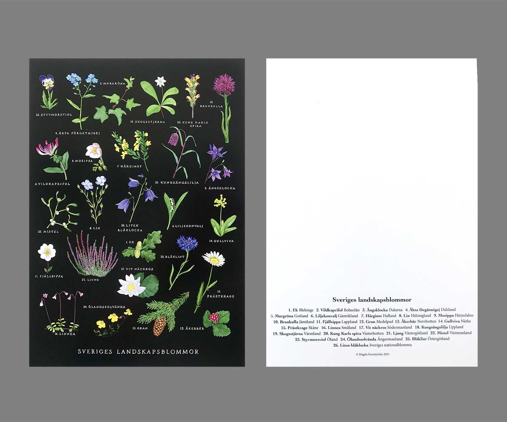 Sveriges Landskapsblommor Kort A5