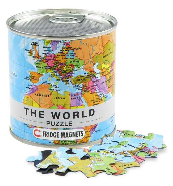 The World Magnetic Puzzle
