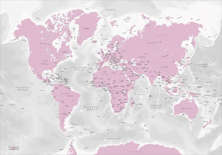 The World by Kartbutiken Pink