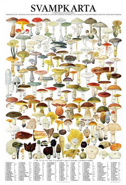 Svampposter