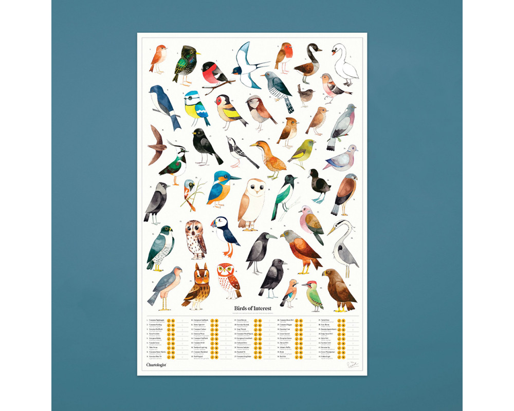 Scratch Garden Birds Poster