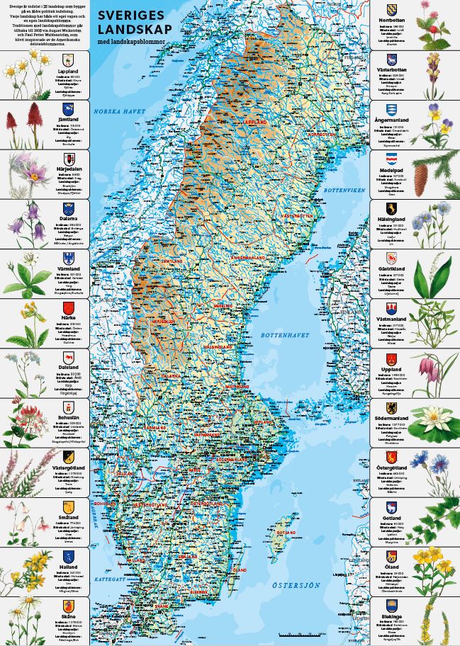 Sveriges Landskap med landskapsblommor 50x70
