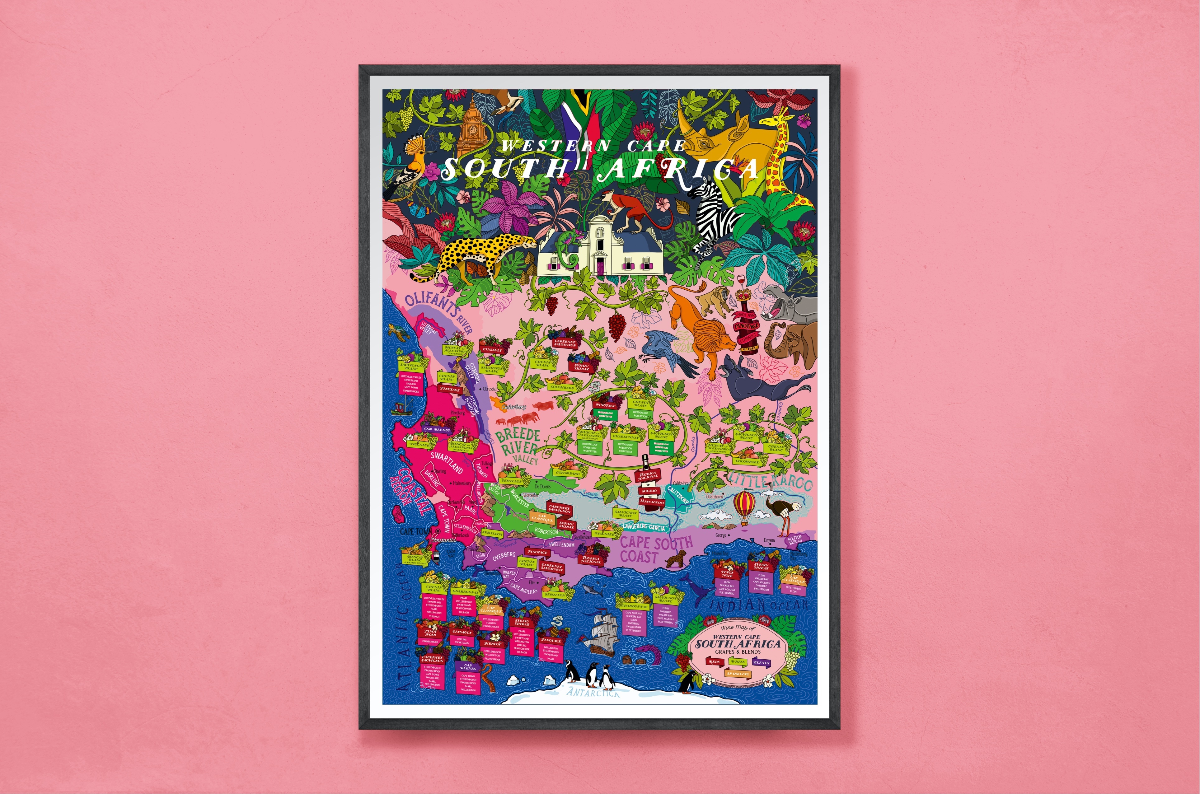 Wine Poster Sydafrika